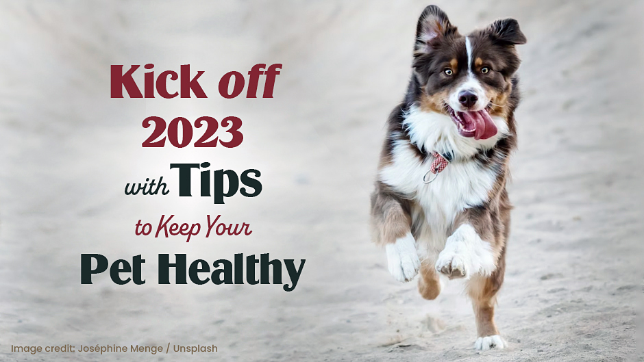Kick off 2023 with Tips to Keep Your Pet Healthy