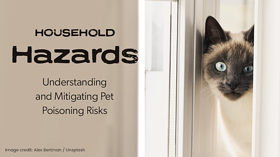 Household Hazards: Understanding and Mitigating Pet Poisoning Risks